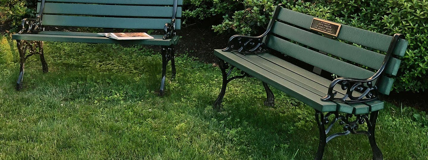 two benches in grass